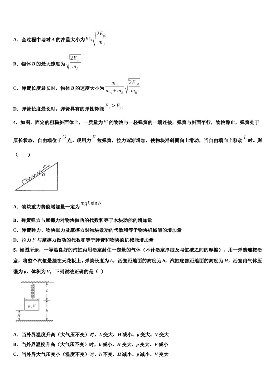 上海市华师大二附中2023-2024学年高三下学期联考物理试题含解析.doc_第2页