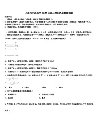 上海市卢湾高中2024年高三考前热身物理试卷含解析.doc