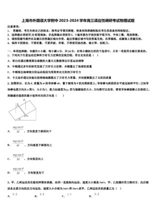 上海市外国语大学附中2023-2024学年高三适应性调研考试物理试题含解析.doc