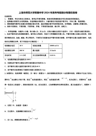 上海市师范大学附属中学2024年高考考前提分物理仿真卷含解析.doc
