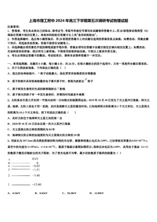 上海市理工附中2024年高三下学期第五次调研考试物理试题含解析.doc