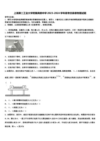 上海第二工业大学附属龚路中学2023-2024学年高考仿真卷物理试题含解析.doc