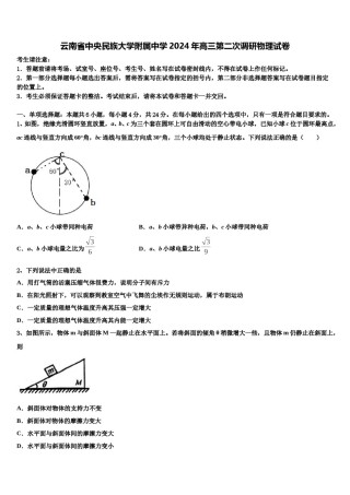 云南省中央民族大学附属中学2024年高三第二次调研物理试卷含解析.doc