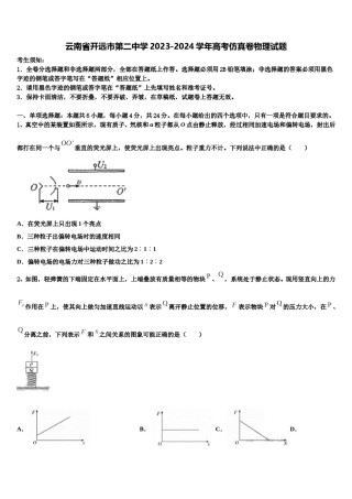 云南省开远市第二中学2023-2024学年高考仿真卷物理试题含解析.doc