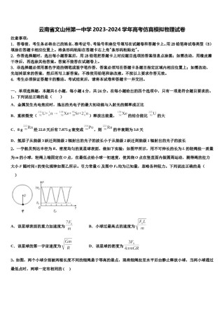 云南省文山州第一中学2023-2024学年高考仿真模拟物理试卷含解析.doc