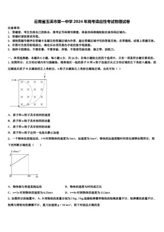 云南省玉溪市第一中学2024年高考适应性考试物理试卷含解析.doc