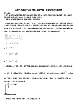 内蒙古赤峰市宁城县2024年高三第一次模拟考试物理试卷含解析.doc