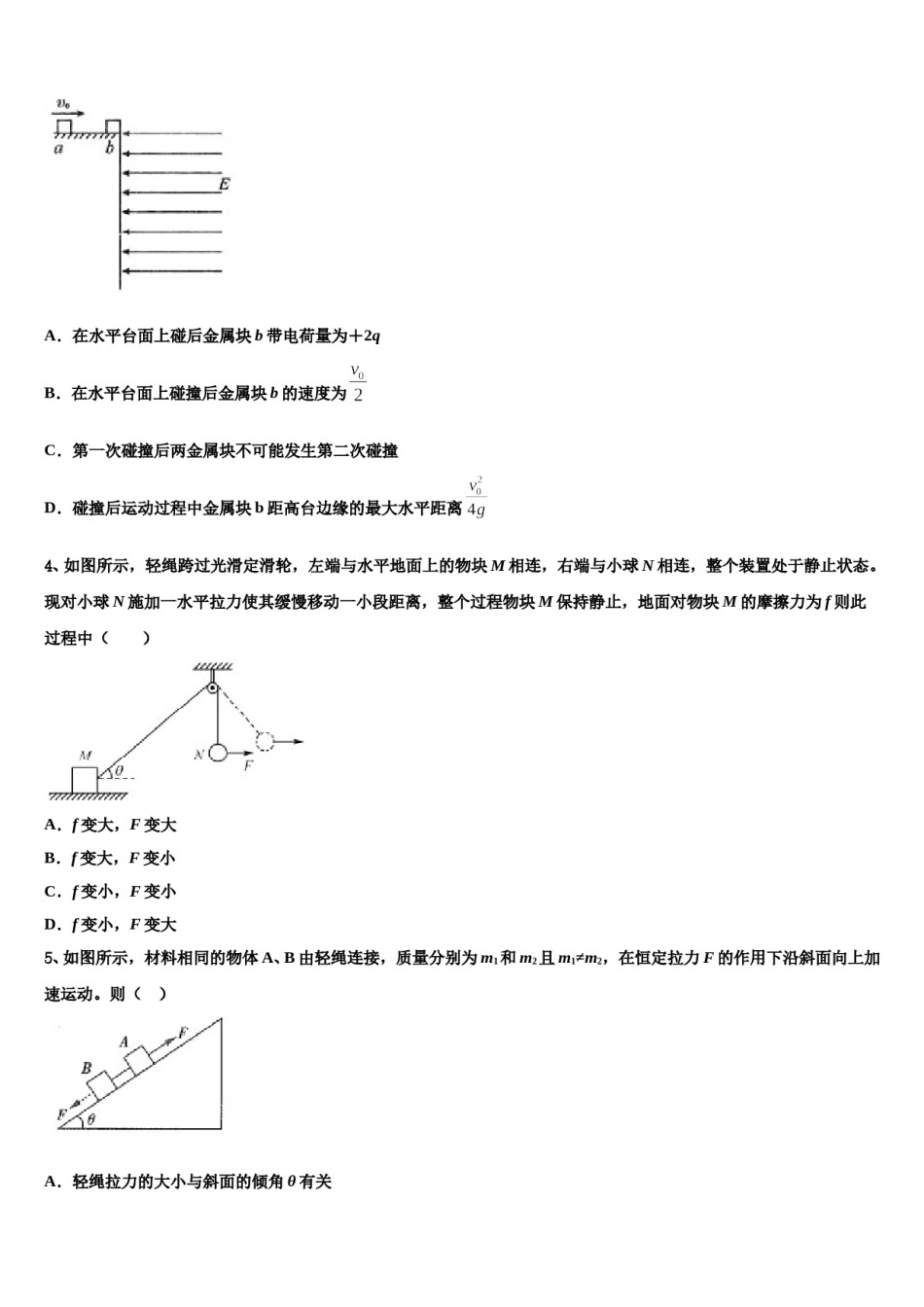 北京市海淀区中央民族大学附属中学2024年高考物理一模试卷含解析.doc_第2页
