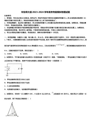 华东师大版2023-2024学年高考考前模拟物理试题含解析.doc
