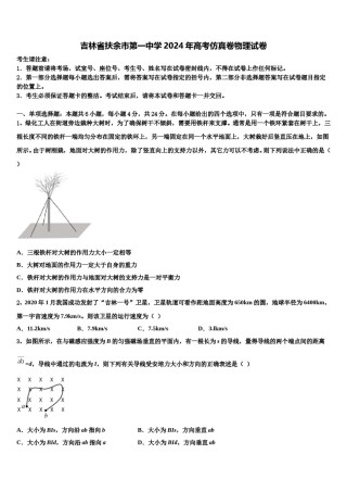 吉林省扶余市第一中学2024年高考仿真卷物理试卷含解析.doc