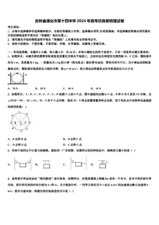 吉林省通化市第十四中学2024年高考仿真卷物理试卷含解析.doc