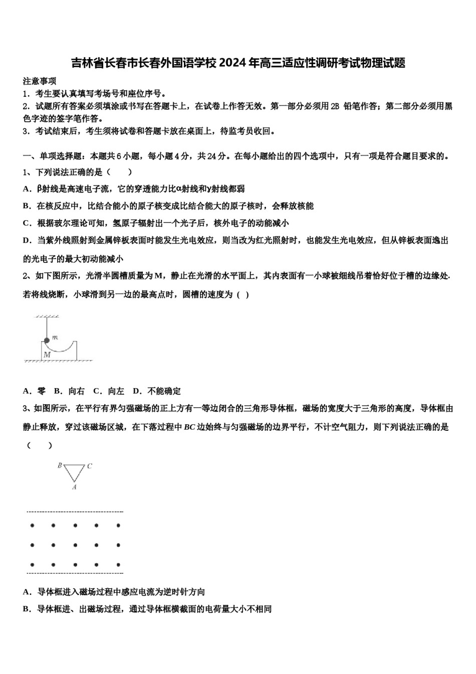吉林省长春市长春外国语学校2024年高三适应性调研考试物理试题含解析.doc_第1页