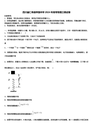 四川省仁寿县铧强中学2024年高考物理三模试卷含解析.doc
