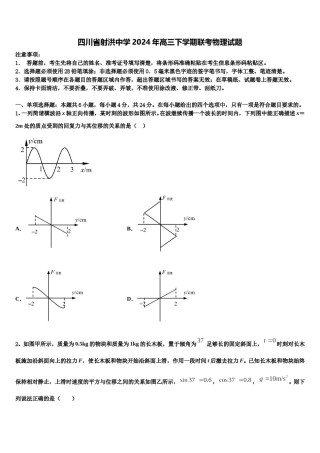 四川省射洪中学2024年高三下学期联考物理试题含解析.doc