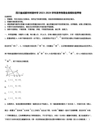 四川省成都市树德中学2023-2024学年高考物理全真模拟密押卷含解析.doc