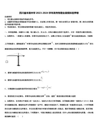 四川省米易中学2023-2024学年高考物理全真模拟密押卷含解析.doc