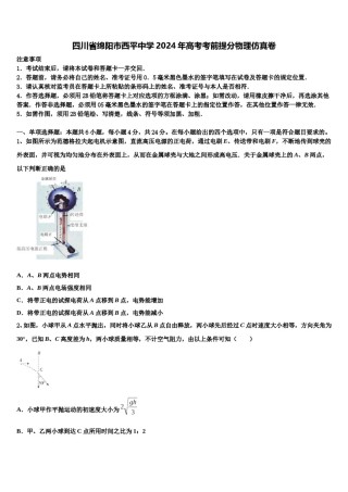 四川省绵阳市西平中学2024年高考考前提分物理仿真卷含解析.doc
