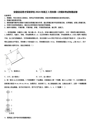 安徽定远育才实验学校2024年高三3月份第一次模拟考试物理试卷含解析.doc