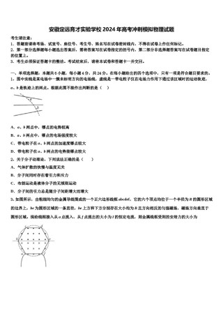 安徽定远育才实验学校2024年高考冲刺模拟物理试题含解析.doc