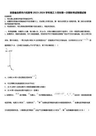 安徽省合肥市六校联考2023-2024学年高三3月份第一次模拟考试物理试卷含解析.doc