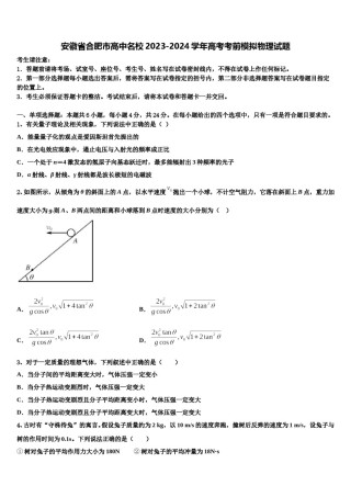 安徽省合肥市高中名校2023-2024学年高考考前模拟物理试题含解析.doc
