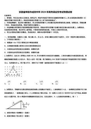 安徽省阜阳市成效中学2024年高考适应性考试物理试卷含解析.doc