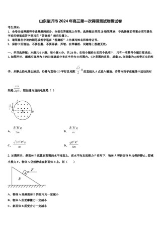 山东临沂市2024年高三第一次调研测试物理试卷含解析.doc