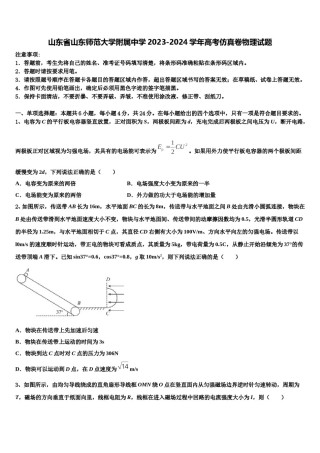山东省山东师范大学附属中学2023-2024学年高考仿真卷物理试题含解析.doc