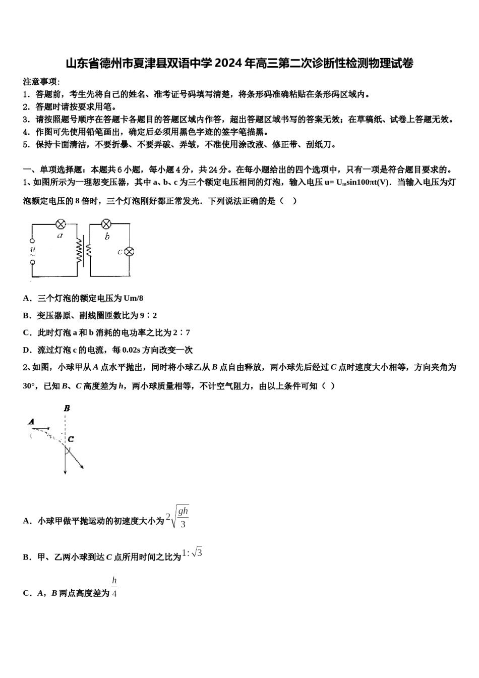 山东省德州市夏津县双语中学2024年高三第二次诊断性检测物理试卷含解析.doc_第1页