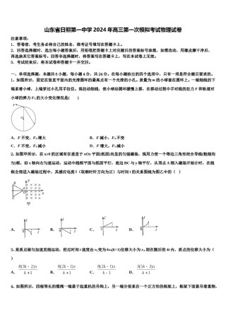 山东省日照第一中学2024年高三第一次模拟考试物理试卷含解析.doc