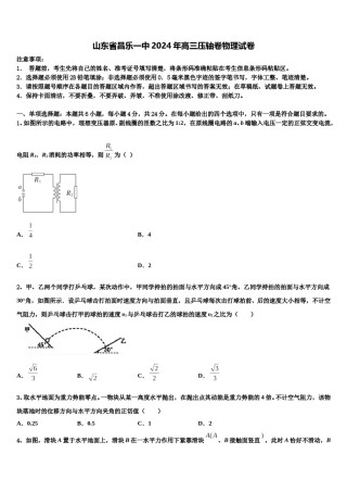 山东省昌乐一中2024年高三压轴卷物理试卷含解析.doc