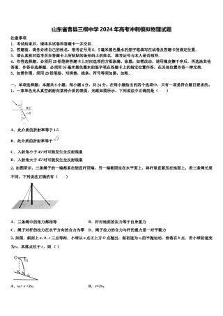 山东省曹县三桐中学2024年高考冲刺模拟物理试题含解析.doc