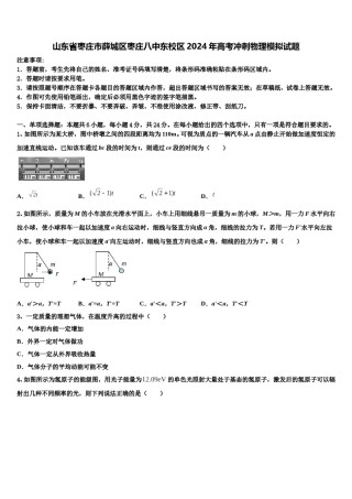 山东省枣庄市薛城区枣庄八中东校区2024年高考冲刺物理模拟试题含解析.doc