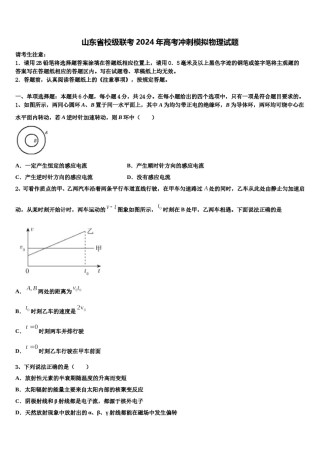 山东省校级联考2024年高考冲刺模拟物理试题含解析.doc