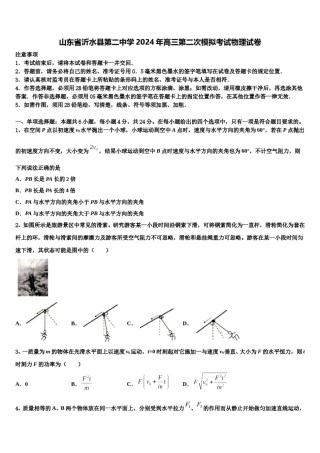 山东省沂水县第二中学2024年高三第二次模拟考试物理试卷含解析.doc