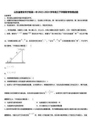 山东省泰安市宁阳县一中2023-2024学年高三下学期联考物理试题含解析.doc