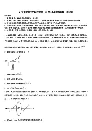 山东省济南市历城区济南一中2024年高考物理一模试卷含解析.doc