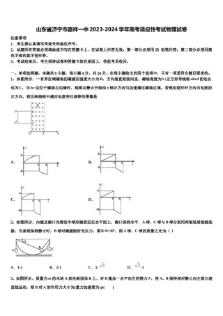 山东省济宁市嘉祥一中2023-2024学年高考适应性考试物理试卷含解析.doc