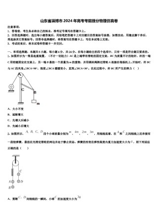 山东省淄博市2024年高考考前提分物理仿真卷含解析.doc