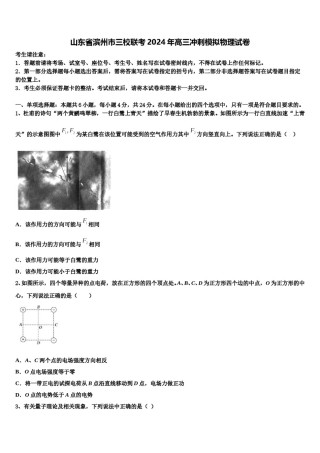 山东省滨州市三校联考2024年高三冲刺模拟物理试卷含解析.doc