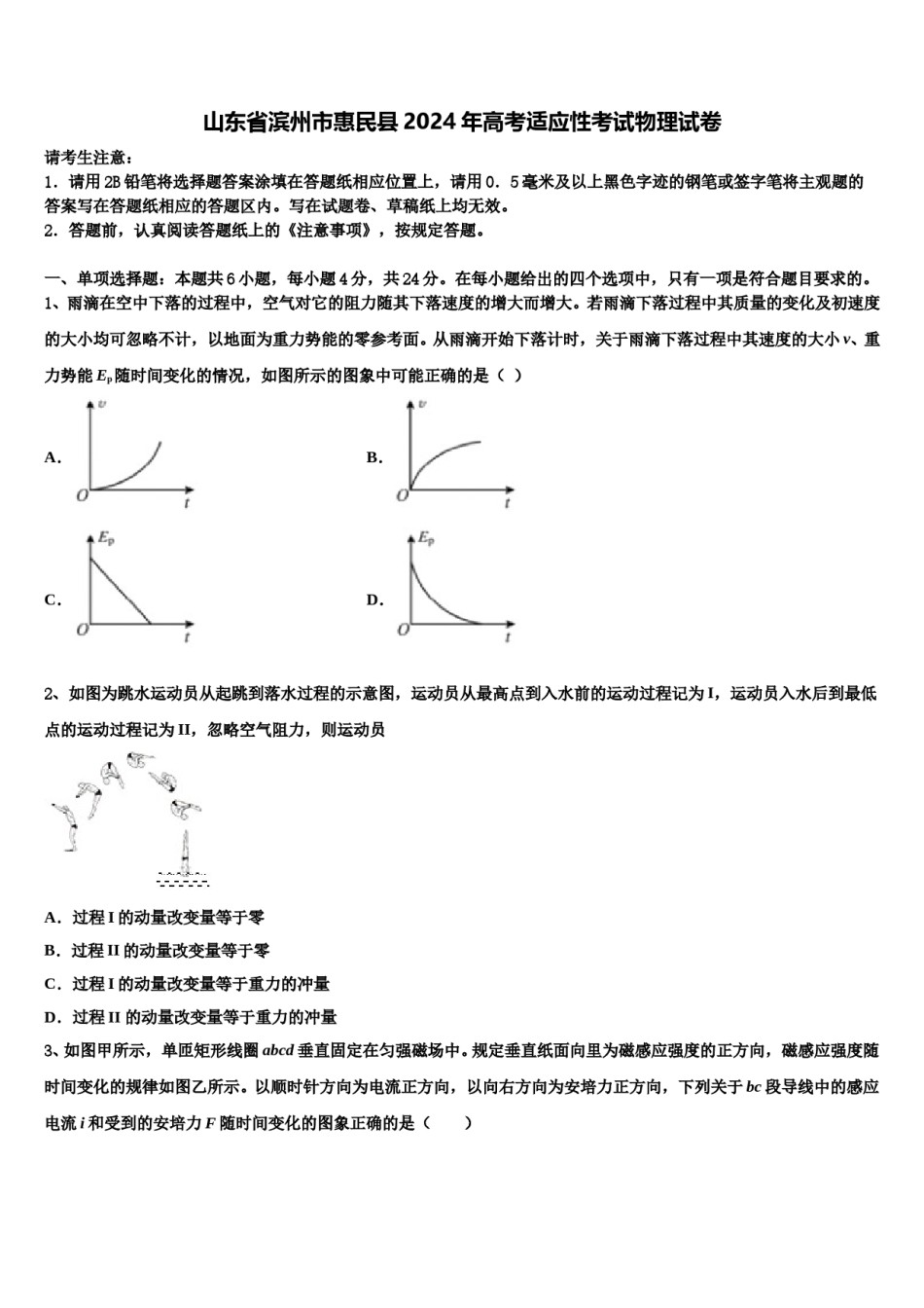 山东省滨州市惠民县2024年高考适应性考试物理试卷含解析.doc_第1页