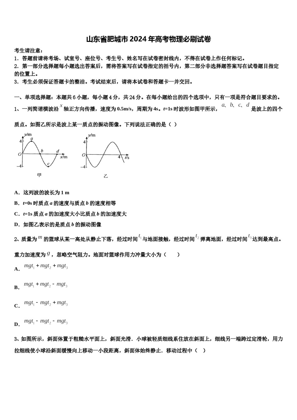 山东省肥城市2024年高考物理必刷试卷含解析.doc_第1页