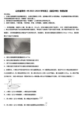 山东省莱州一中2023-2024学年高三（最后冲刺）物理试卷含解析.doc