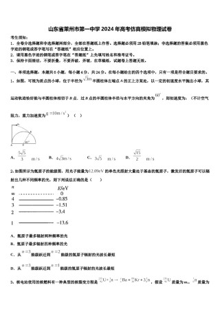 山东省莱州市第一中学2024年高考仿真模拟物理试卷含解析.doc