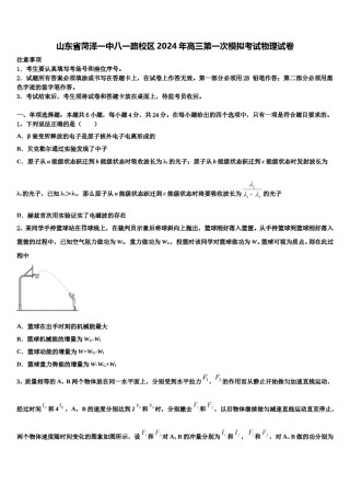 山东省菏泽一中八一路校区2024年高三第一次模拟考试物理试卷含解析.doc