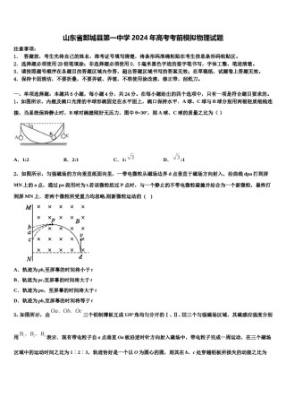 山东省鄄城县第一中学2024年高考考前模拟物理试题含解析.doc
