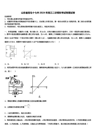 山东省青岛十七中2024年高三二诊模拟考试物理试卷含解析.doc