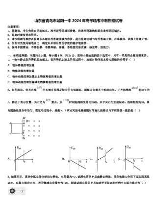 山东省青岛市城阳一中2024年高考临考冲刺物理试卷含解析.doc
