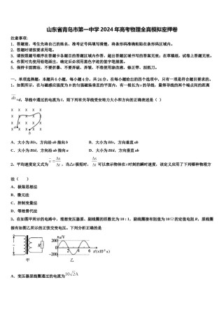 山东省青岛市第一中学2024年高考物理全真模拟密押卷含解析.doc