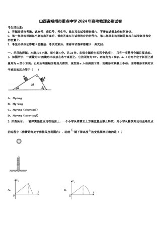 山西省朔州市重点中学2024年高考物理必刷试卷含解析.doc
